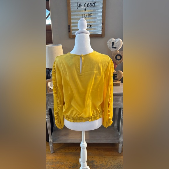 NWT Ann Taylor Ruffle Sleeve Cinched Hem Top - Picture 8 of 11